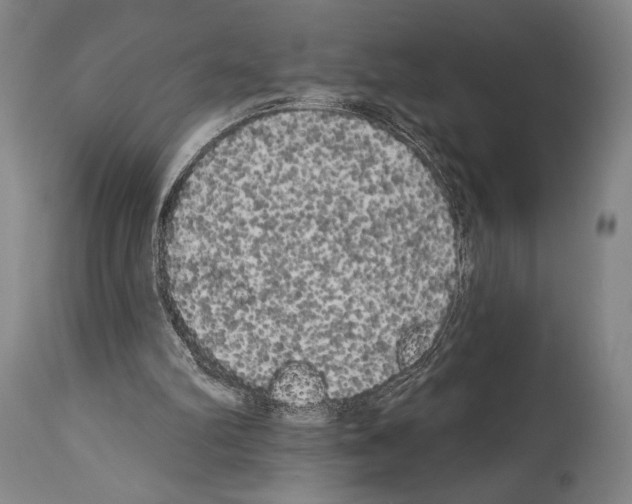 X0000113980102200911131104