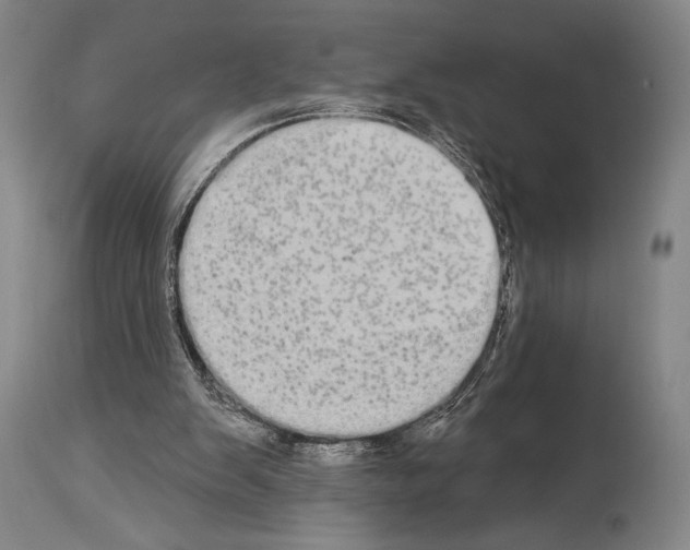 X0000113980103200911131104