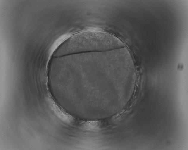 X0000113980104200911131104