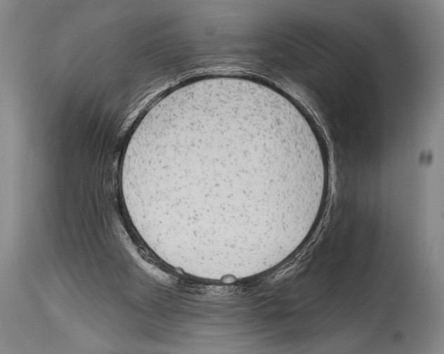 X0000113980105200911131104