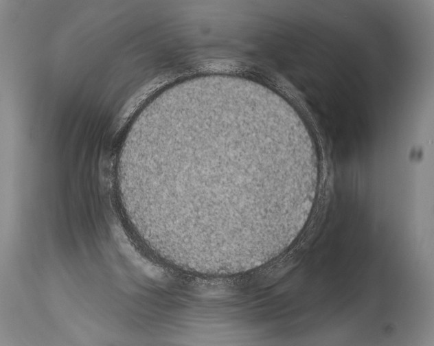 X0000113980106200911131104