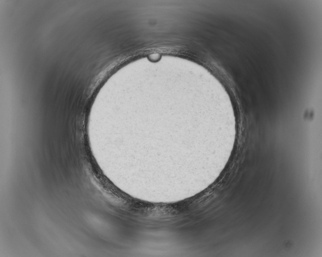 X0000113980107200911131104