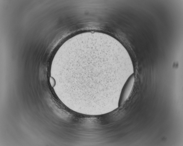 X0000113980108200911131104
