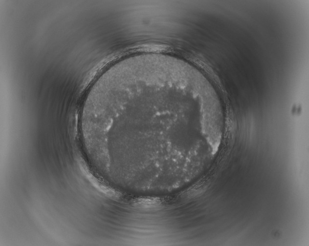 X0000113980110200911131104