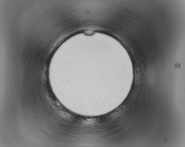 X0000113980111200911131104