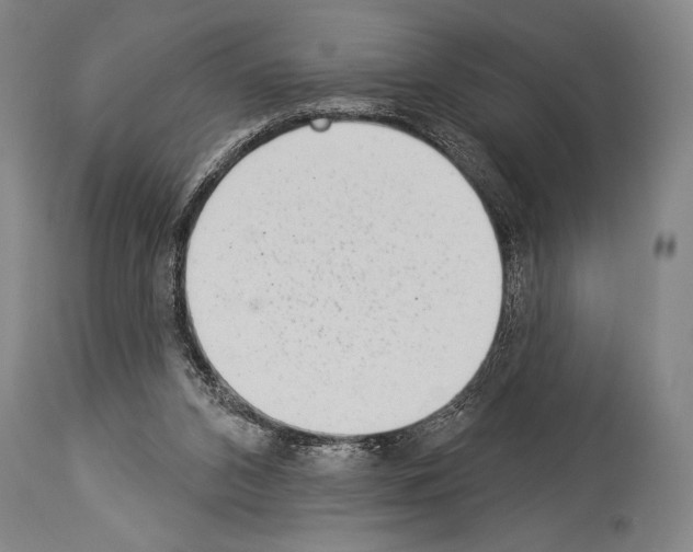 X0000113980112200911131104