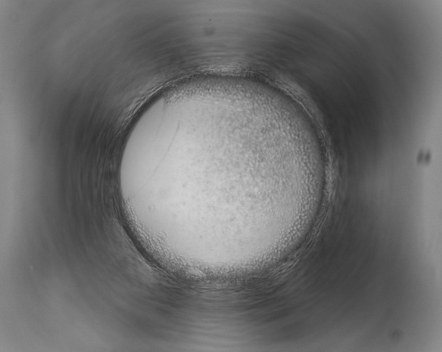 X0000113980113200911131104