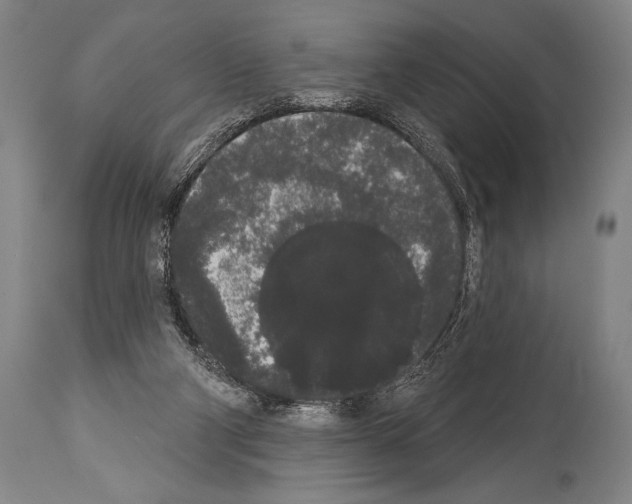 X0000113980114200911131104