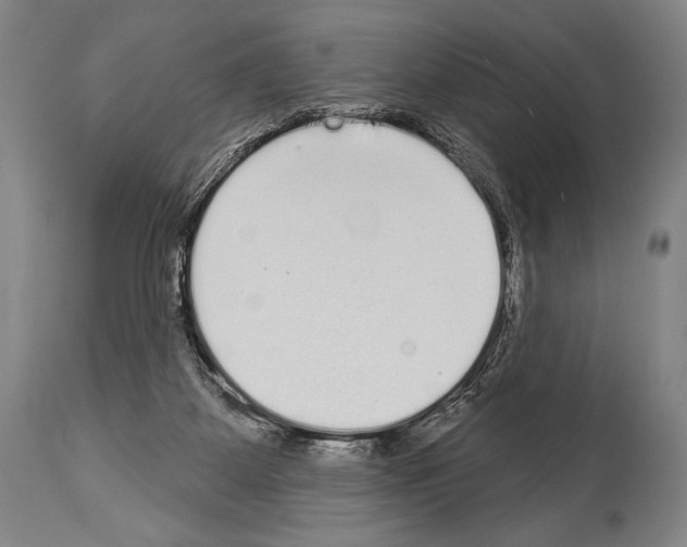 X0000113980115200911131104