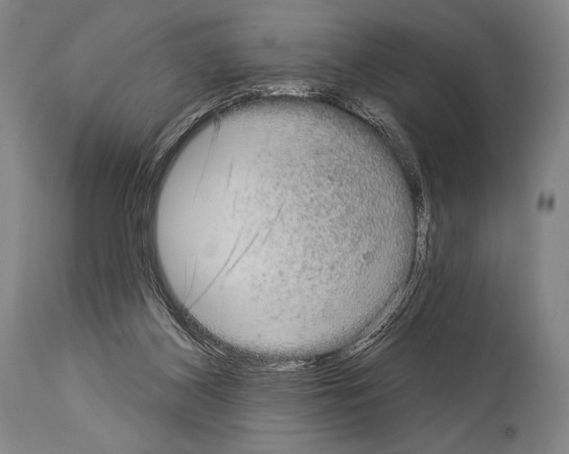 X0000113980116200911131104