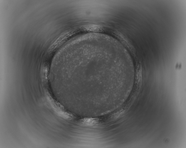 X0000113980117200911131104