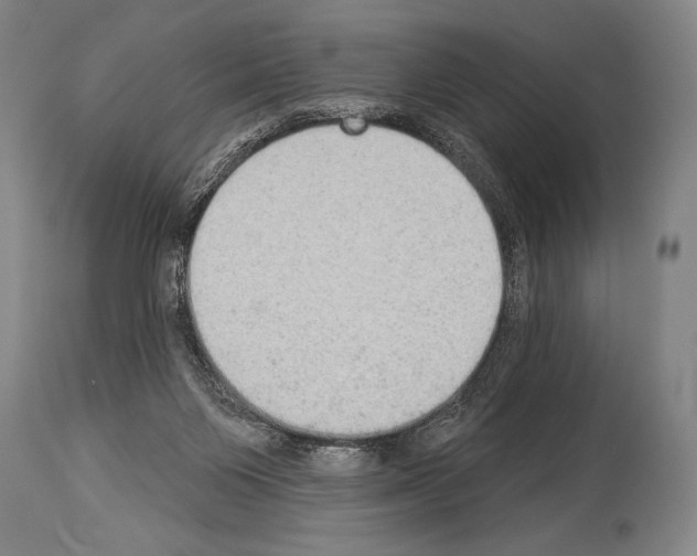 X0000113980119200911131104