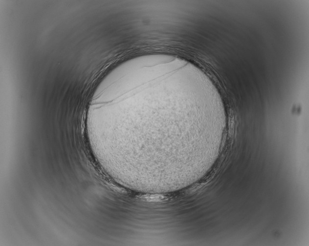 X0000113980121200911131104
