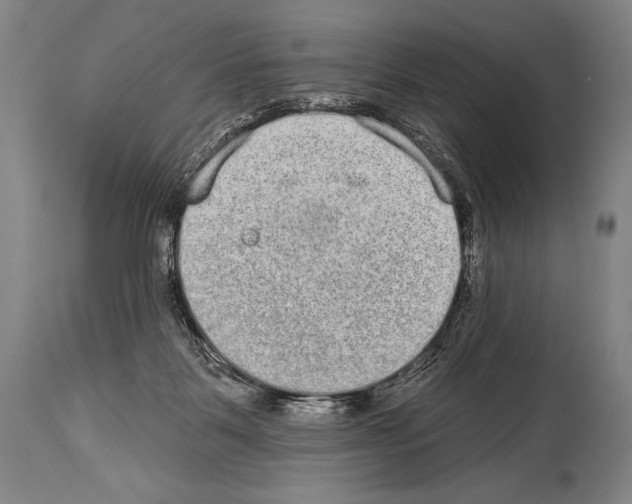 X0000113980123200911131104