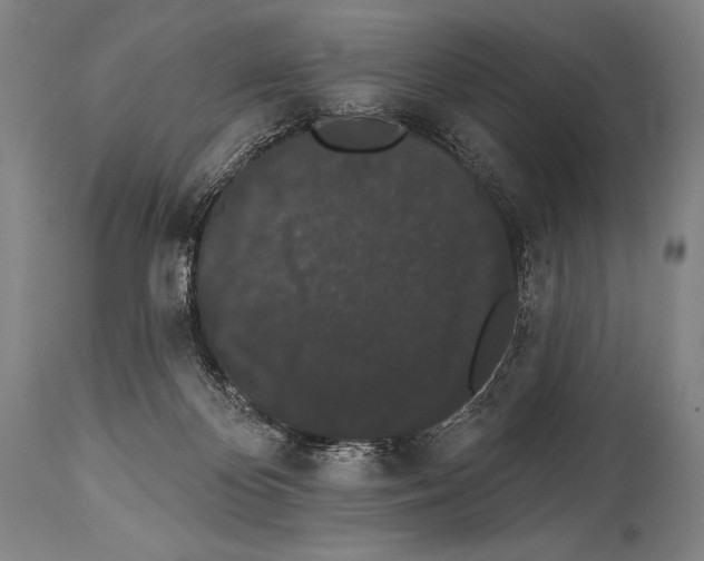 X0000113980124200911131104
