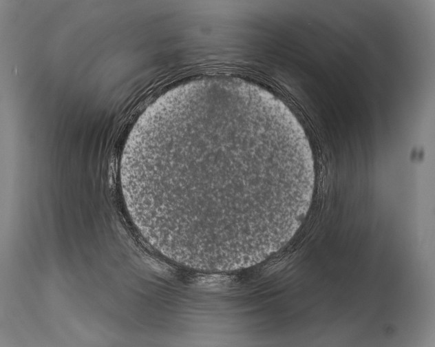 X0000113980125200911131104