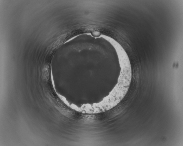 X0000113980127200911131104