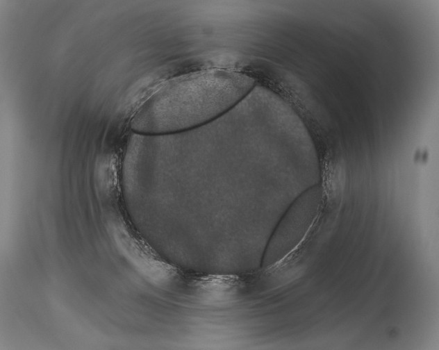 X0000113980128200911131104
