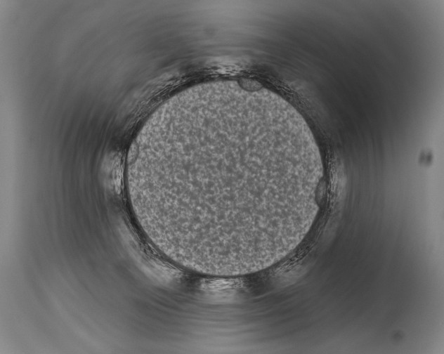 X0000113980129200911131104