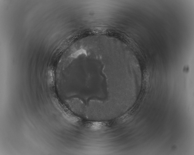 X0000113980130200911131104