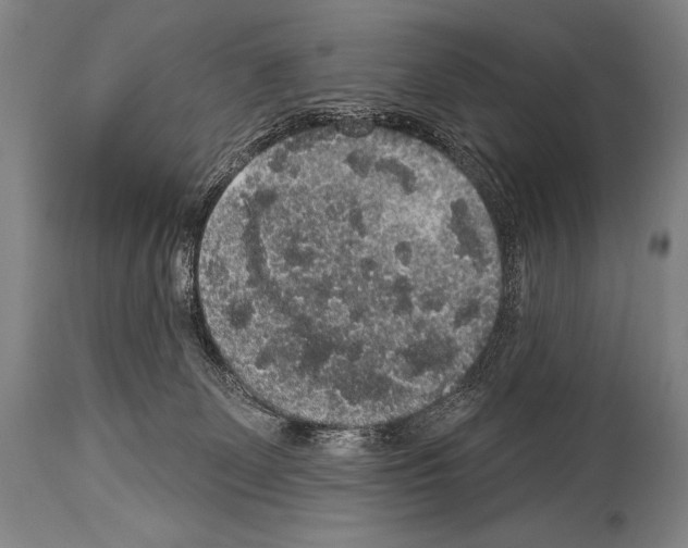 X0000113980131200911131104
