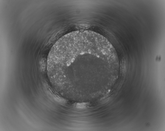 X0000113980134200911131104