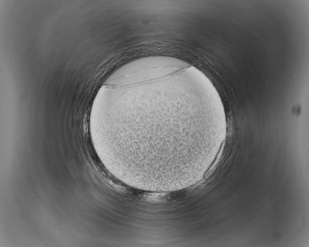 X0000113980136200911131104