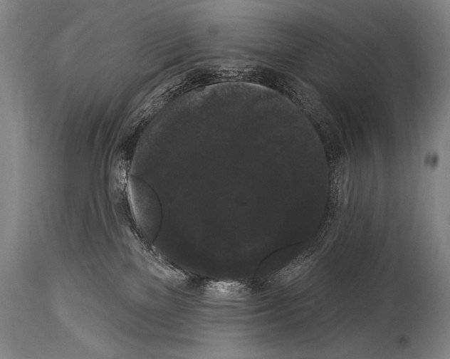 X0000113980137200911131104
