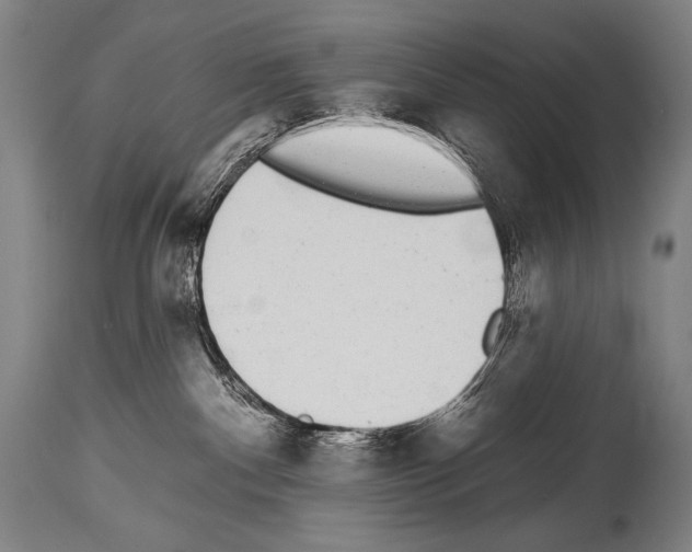 X0000113980140200911131104