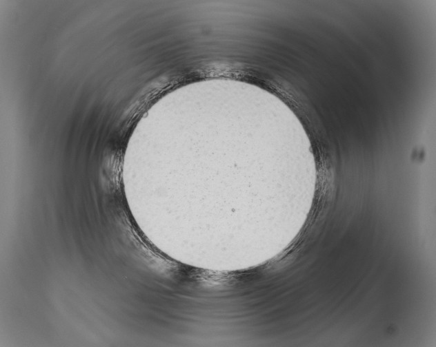 X0000113980142200911131104
