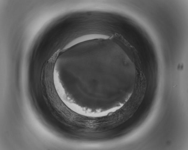 X0000113980143200911131104