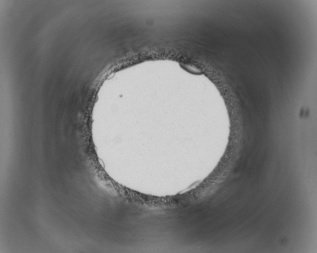 X0000113980144200911131104