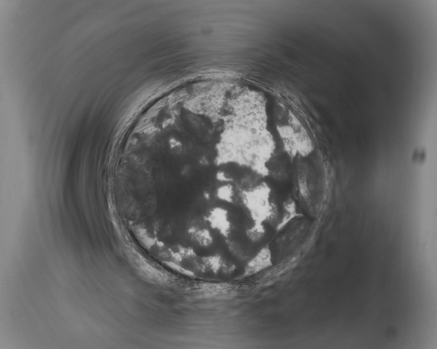 X0000113980145200911131103