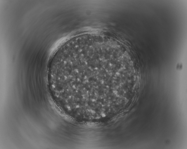 X0000113980149200911131103