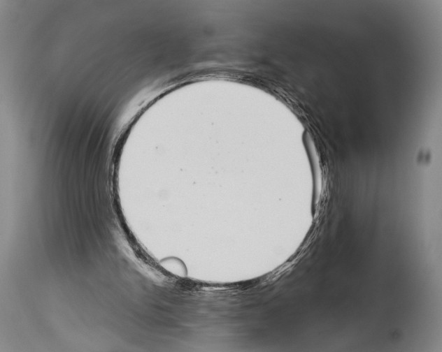 X0000113980150200911131103