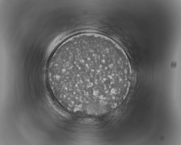 X0000113980151200911131103