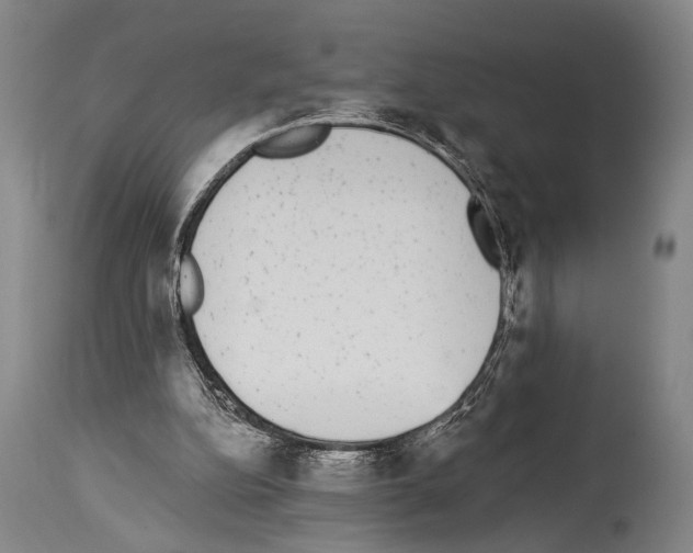 X0000113980152200911131103