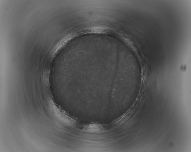 X0000113980154200911131103