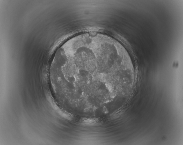 X0000113980155200911131103