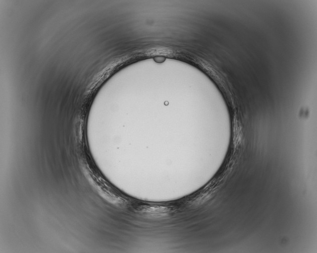 X0000113980157200911131103