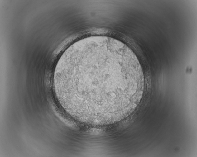 X0000113980159200911131103