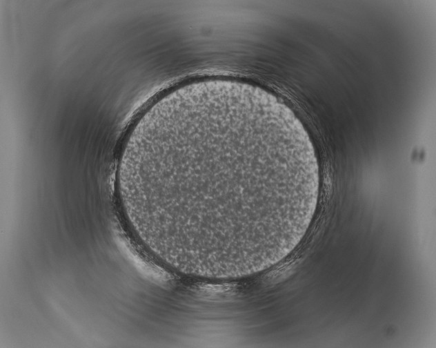 X0000113980160200911131103