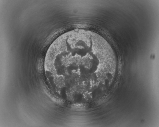 X0000113980161200911131103