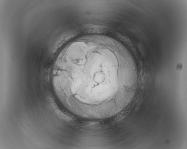 X0000113980162200911131103