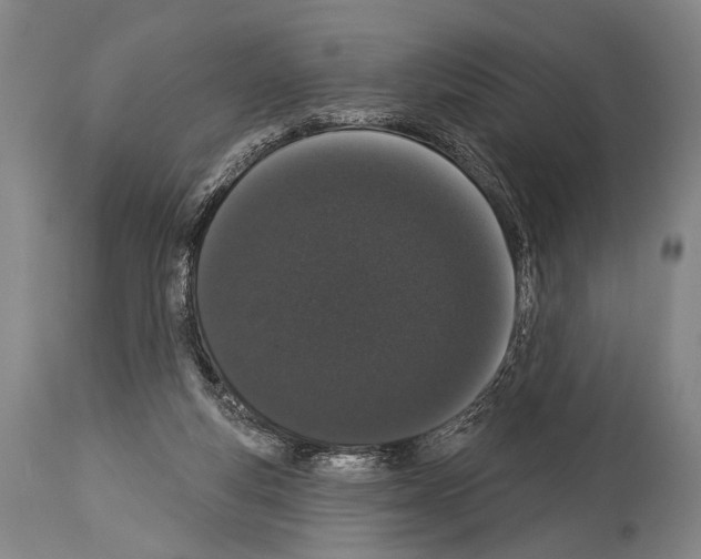 X0000113980163200911131103