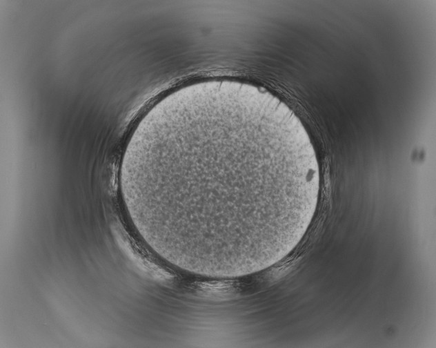 X0000113980164200911131103