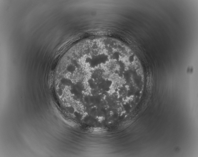 X0000113980165200911131103