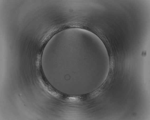 X0000113980167200911131103