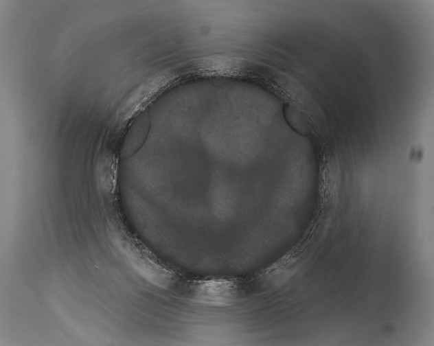 X0000113980168200911131103