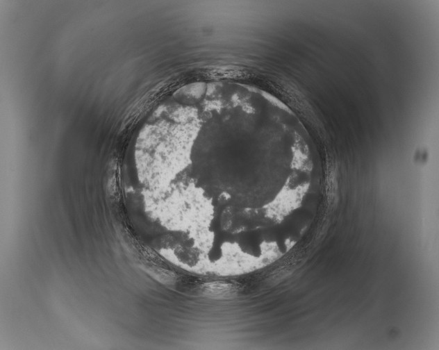 X0000113980169200911131103